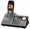 телефон PANASONIC KX-TCD345 RUS DECT АОН а/отв color